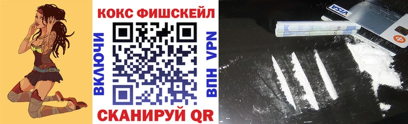 Купить где  Новая Ладога  COCAIN Эквадор 