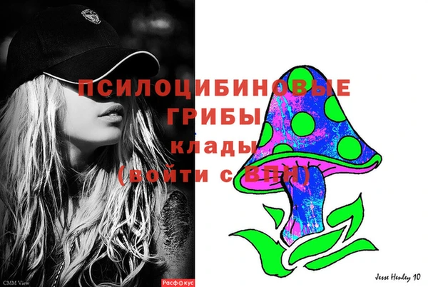 PSILOCYBIN Балабаново