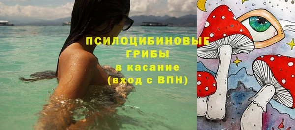 PSILOCYBIN Балабаново