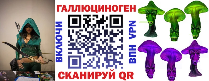 Галлюциногенные грибы Psilocybine cubensis  Купить закладки  Новая Ладога 