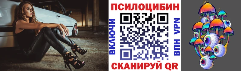 Псилоцибиновые грибы Cubensis Новая Ладога