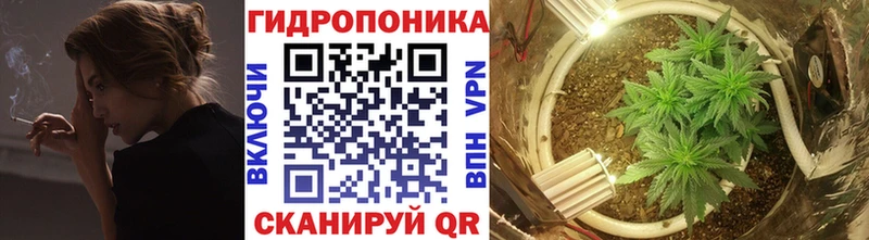 Купить  Новая Ладога  Конопля марихуана 